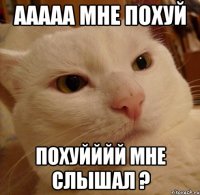 ааааа мне похуй похуйййй мне слышал ?