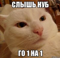 слышь нуб го 1 на 1