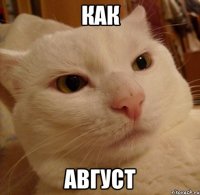 как август