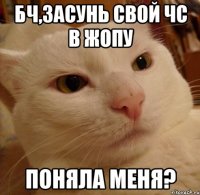 бч,засунь свой чс в жопу поняла меня?