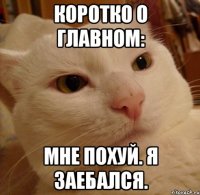коротко о главном: мне похуй. я заебался.