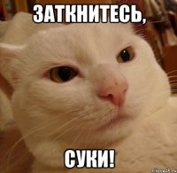 заткнитесь, суки!