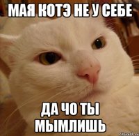 мая котэ не у себе да чо ты мымлишь