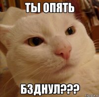 ты опять бзднул???