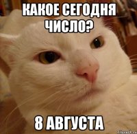 какое сегодня число? 8 августа