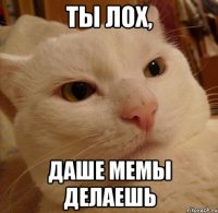 ты лох, даше мемы делаешь