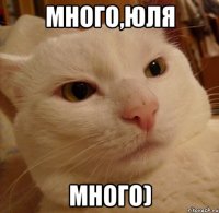 много,юля много)