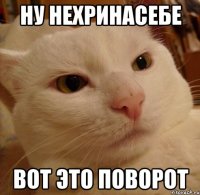 ну нехринасебе вот это поворот