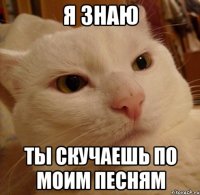 я знаю ты скучаешь по моим песням