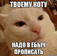 твоему коту надо в ёбыч прописать
