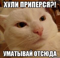 хули приперся?! уматывай отсюда