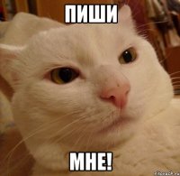пиши мне!