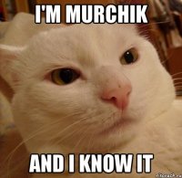 i'm murchik and i know it
