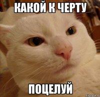 какой к черту поцелуй