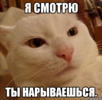 я смотрю ты нарываешься.