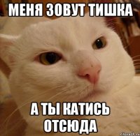 меня зовут тишка а ты катись отсюда