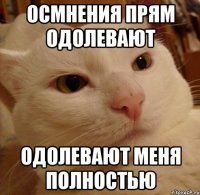 осмнения прям одолевают одолевают меня полностью