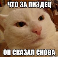 что за пиздец он сказал снова