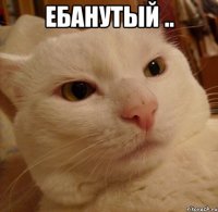 ебанутый .. 