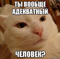 ты вообще адекватный человек?