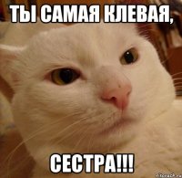 ты самая клевая, сестра!!!