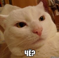  чё?