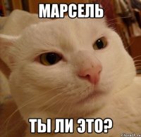 марсель ты ли это?