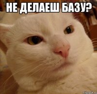 не делаеш базу? 