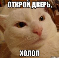 открой дверь, холоп