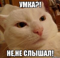 умка?! не,не слышал!
