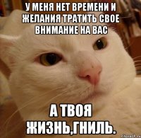 у меня нет времени и желания тратить свое внимание на вас а твоя жизнь,гниль.