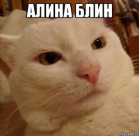 алина блин 