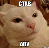 став аву