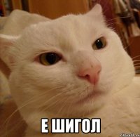  е шигол