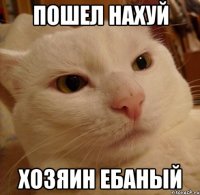 пошел нахуй хозяин ебаный