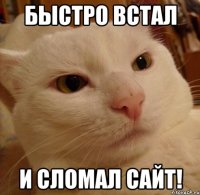 быстро встал и сломал сайт!