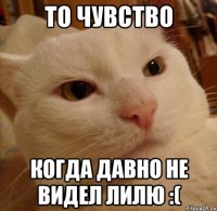 то чувство когда давно не видел лилю :(