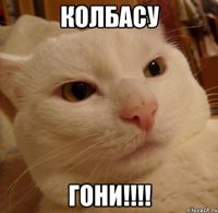 колбасу гони!!!