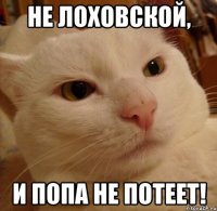 не лоховской, и попа не потеет!