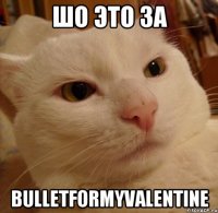 шо это за bulletformyvalentine
