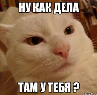 ну как дела там у тебя ?