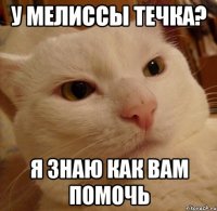 у мелиссы течка? я знаю как вам помочь