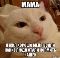 мама я жил хорошо меня взяли какие люди стали кормить кашей