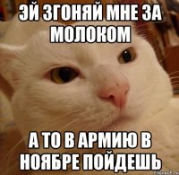 эй згоняй мне за молоком а то в армию в ноябре пойдешь