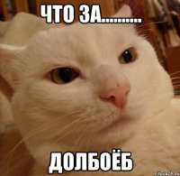 что за.......... долбоёб