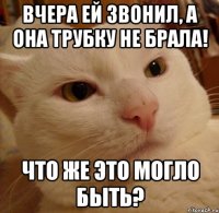вчера ей звонил, а она трубку не брала! что же это могло быть?