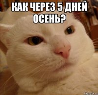 как через 5 дней осень? 