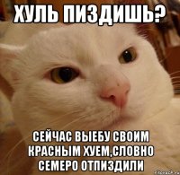 хуль пиздишь? сейчас выебу своим красным хуем,словно семеро отпиздили