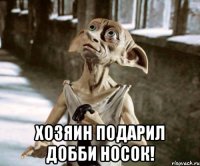  хозяин подарил добби носок!