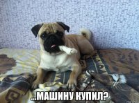  ...машину купил?